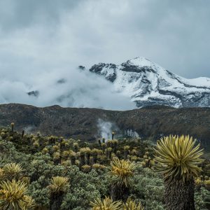 Snowy peaks and lush vegetation in Colombia's Sierra Nevada del Cocuy.