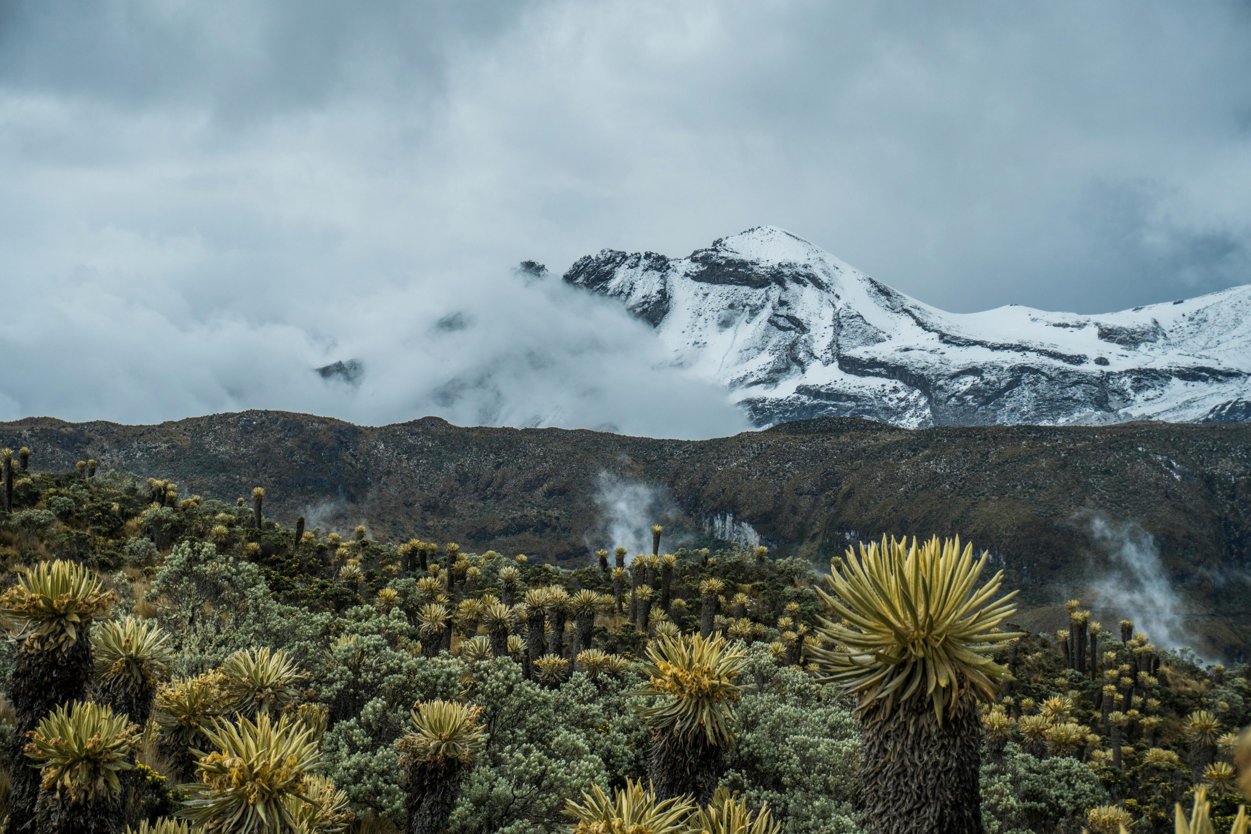 Tour al Volcán Nevado del Ruiz